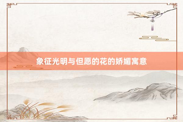 象征光明与但愿的花的娇媚寓意